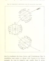 An illustration from La Terre: description des phénomènes de la vie du globe. I. Les Continents. II. L'Ocean, l'Atmosphere, la Vie (1868)