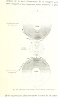 An illustration from La Terre: description des phénomènes de la vie du globe. I. Les Continents. II. L'Ocean, l'Atmosphere, la Vie (1868)
