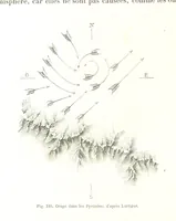 Picture 120 of 224 from La Terre: description des phénomènes de la vie du globe. I. Les Continents. II. L'Ocean, l'Atmosphere, la Vie (1868), leaf 426