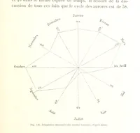 An illustration from La Terre: description des phénomènes de la vie du globe. I. Les Continents. II. L'Ocean, l'Atmosphere, la Vie (1868)