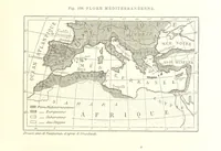 An illustration from La Terre: description des phénomènes de la vie du globe. I. Les Continents. II. L'Ocean, l'Atmosphere, la Vie (1868)