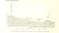 Picture 178 of 224 from La Terre: description des phénomènes de la vie du globe. I. Les Continents. II. L'Ocean, l'Atmosphere, la Vie (1868), leaf 620