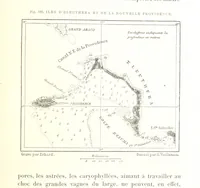 An illustration from La Terre: description des phénomènes de la vie du globe. I. Les Continents. II. L'Ocean, l'Atmosphere, la Vie (1868)