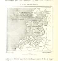 Picture 207 of 224 from La Terre: description des phénomènes de la vie du globe. I. Les Continents. II. L'Ocean, l'Atmosphere, la Vie (1868), leaf 782