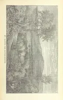 An illustration from Antiquities of the Orient unveiled, containing a concise description of King Solomon's cities, together with those of forty of the most ancient and renowned cities of the East ... With two ... lithographs, and ninety ... engravings (1874)