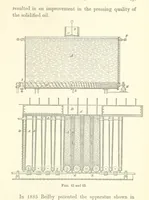 Picture 31 of 50 from A Practical Treatise on Mineral Oils and their By-products, etc (1897), leaf 175