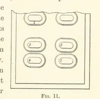 Picture 9 of 50 from A Practical Treatise on Mineral Oils and their By-products, etc (1897), leaf 97