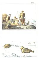 Picture 31 of 50 from Die Völker der Erde nach ihrer Eigenthümlichkeit in Regierungsform, Sitten und Nationaltracht durch Wort und Bild, geschildert nach den Werken eines Barrow, H. Barth, Catlin, etc. Herausgegeben von A. B. Reichenbach. Mit 50 Tafeln colorirten Abbildungen (1859), leaf 497