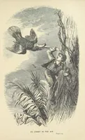 Picture 6 of 7 from The Castaways: a story of adventure in the wilds of Borneo (1870), leaf 139