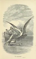 Picture 4 of 7 from The Castaways: a story of adventure in the wilds of Borneo (1870), leaf 35