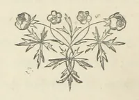 An illustration from The Lone Ranche. A tale of the 'Staked Plain.' (1871)