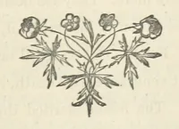 An illustration from The Lone Ranche. A tale of the 'Staked Plain.' (1871)