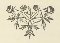 An illustration from The Lone Ranche. A tale of the 'Staked Plain.' (1871)