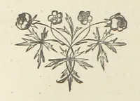 An illustration from The Lone Ranche. A tale of the 'Staked Plain.' (1871)