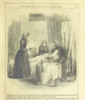 An illustration from Mary Price, etc (1880)