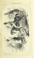An illustration from The Mysteries of the Court of London ... With ... illustrations (1849)