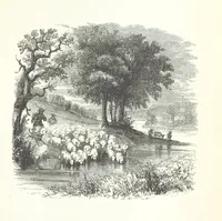 An illustration from The Rhyme and Reason of Country Life: or, selections from fields old and new. By the author of “Rural Hours,” etc (1856)