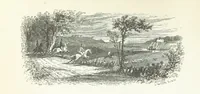 An illustration from The Rhyme and Reason of Country Life: or, selections from fields old and new. By the author of “Rural Hours,” etc (1856)
