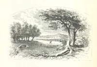 An illustration from The Rhyme and Reason of Country Life: or, selections from fields old and new. By the author of “Rural Hours,” etc (1856)