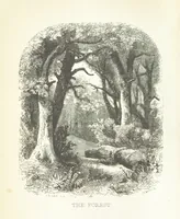 An illustration from The Rhyme and Reason of Country Life: or, selections from fields old and new. By the author of “Rural Hours,” etc (1856)