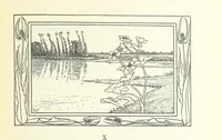 An illustration from Eene halve Eeuw, 1848-1898. Nederland onder de regeering van Koning Willem den Derde en het Regentschap van Koningin Emma door Nederlanders beschreven onder redactie van Dr P. H. Ritter. 3e ... uitgave, etc (1898)