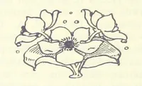 An illustration from Eene halve Eeuw, 1848-1898. Nederland onder de regeering van Koning Willem den Derde en het Regentschap van Koningin Emma door Nederlanders beschreven onder redactie van Dr P. H. Ritter. 3e ... uitgave, etc (1898)