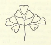 An illustration from Eene halve Eeuw, 1848-1898. Nederland onder de regeering van Koning Willem den Derde en het Regentschap van Koningin Emma door Nederlanders beschreven onder redactie van Dr P. H. Ritter. 3e ... uitgave, etc (1898)