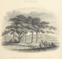 An illustration from Hindostan; its landscapes, palaces, temples, tombs; the shores of the Red Sea; and the ... scenery of the Himalaya Mountains, illustrated in a series of views. With descriptions by E. Roberts (1850)