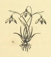 An illustration from Pictorial Effect in Photography: being hints on composition and chiaroscuro for photographers. To which is added a chapter on combination painting (1869)