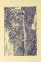An illustration from Pictorial Effect in Photography: being hints on composition and chiaroscuro for photographers. To which is added a chapter on combination painting (1869)
