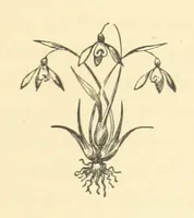 An illustration from Pictorial Effect in Photography: being hints on composition and chiaroscuro for photographers. To which is added a chapter on combination painting (1869)