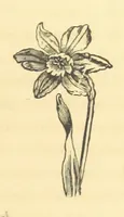 An illustration from Pictorial Effect in Photography: being hints on composition and chiaroscuro for photographers. To which is added a chapter on combination painting (1869)