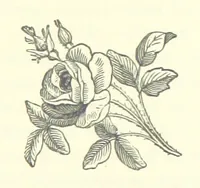 An illustration from Till Death us Sever ... A novel (1888)