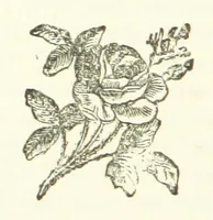 An illustration from The Loyal'st Husband; or, Till Death us Sever ... New edition, revised, etc (1891)