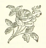 An illustration from The Loyal'st Husband; or, Till Death us Sever ... New edition, revised, etc (1891)