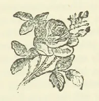 An illustration from The Loyal'st Husband; or, Till Death us Sever ... New edition, revised, etc (1891)