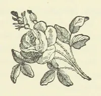 An illustration from The Loyal'st Husband; or, Till Death us Sever ... New edition, revised, etc (1891)