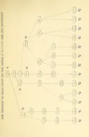 An illustration from Histoire de Selles en Berry et de ses seigneurs, etc (1899)