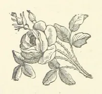 An illustration from Armand de l'Isle. [A novel (1893)