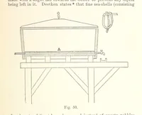 Picture 43 of 61 from The Metallurgy of Gold, etc (1894), leaf 257