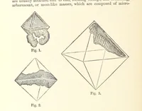 An illustration from The Metallurgy of Gold ... Second edition (1896)