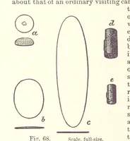 An illustration from The Metallurgy of Gold ... Second edition (1896)