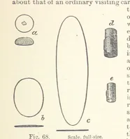 An illustration from The Metallurgy of Gold ... Third edition, revised and enlarged (1898)