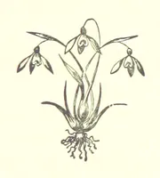 Picture 6 of 9 from Saint Nicolas' Eve, and other tales (1880), leaf 165
