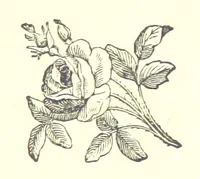 An illustration from Saint Nicolas' Eve, and other tales (1880)