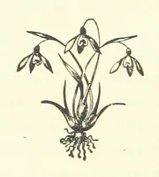 An illustration from Saint Nicolas' Eve, and other tales (1880)