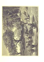 An illustration from Eine Orientreise vom Jahre 1881 ... illustrirt ... von F. von Pausinger (1885)
