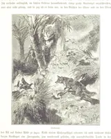 An illustration from Eine Orientreise vom Jahre 1881 ... illustrirt ... von F. von Pausinger (1885)