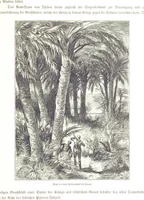 An illustration from Eine Orientreise vom Jahre 1881 ... illustrirt ... von F. von Pausinger (1885)