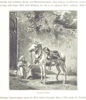 An illustration from Eine Orientreise vom Jahre 1881 ... illustrirt ... von F. von Pausinger (1885)
